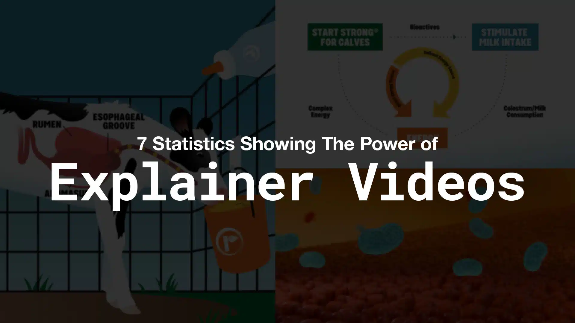 Explainer Video Statistics